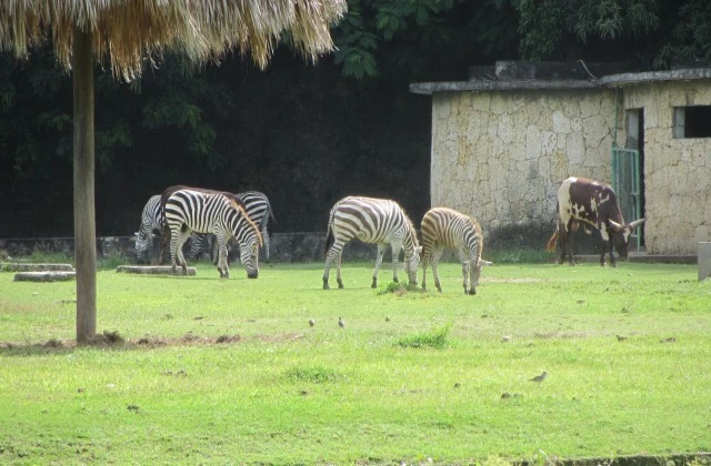 Parque Zoologico Nacional 5